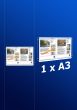 raampresentatie - raamdisplay 1 x a3