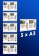 raampresentatie - raamdisplay 5 x a3 (A4 papier)